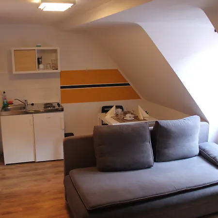 Gasthuis Michelangelo 3*