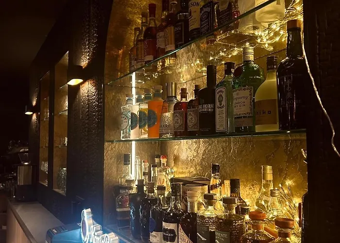 Gasthuis Michelangelo 3*