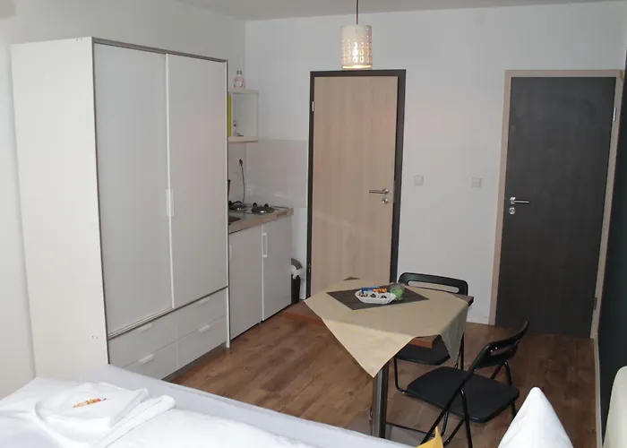 Gasthuis Michelangelo