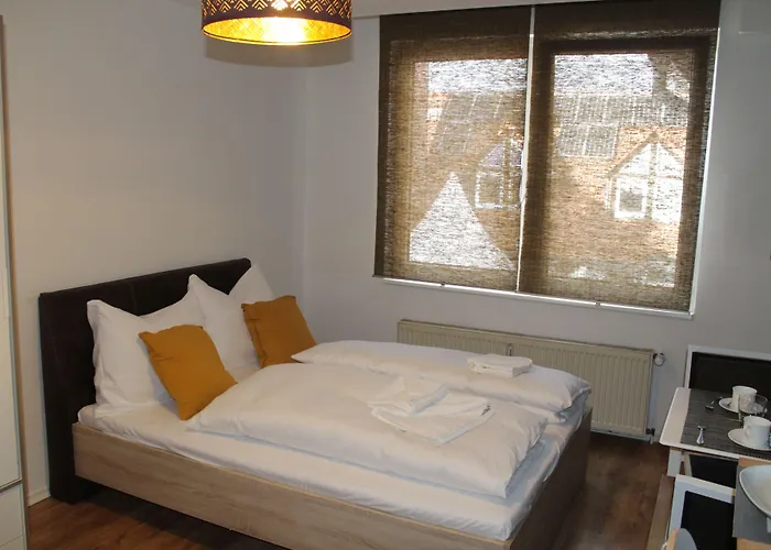 Michelangelo 艾森纳赫